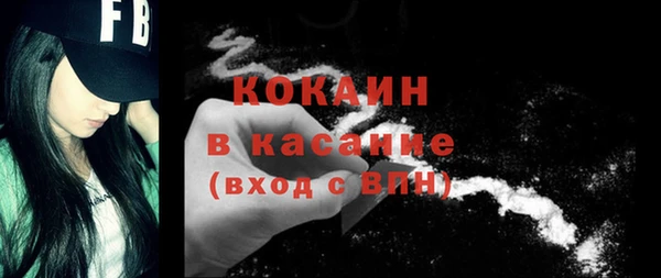 бошки Белокуриха