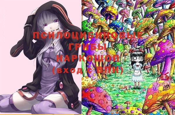 бошки Белокуриха